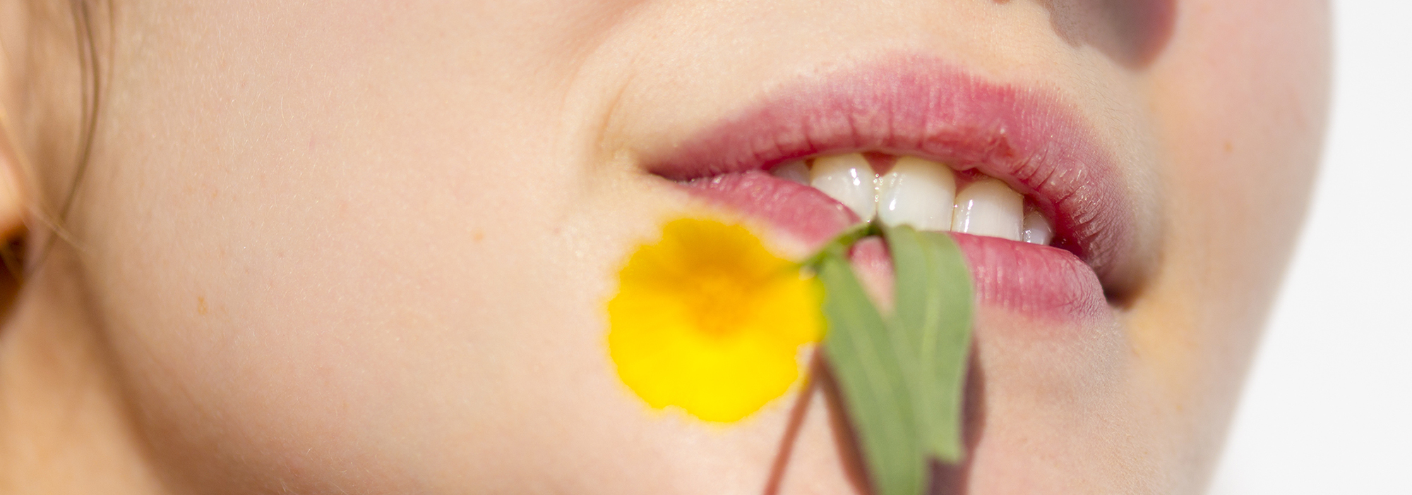 Umwelt Team Ralf Martin